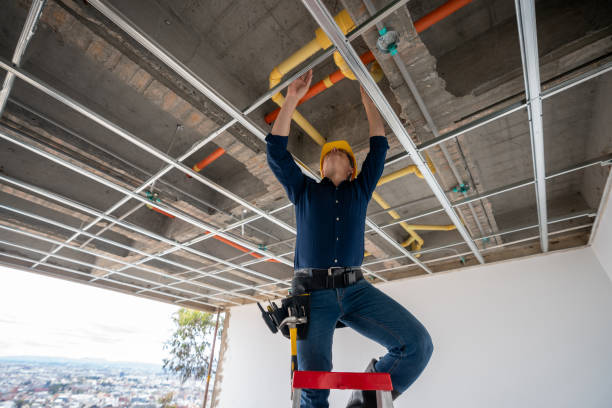 Best Plumbing Repair Near Me  in Acres Green, CO