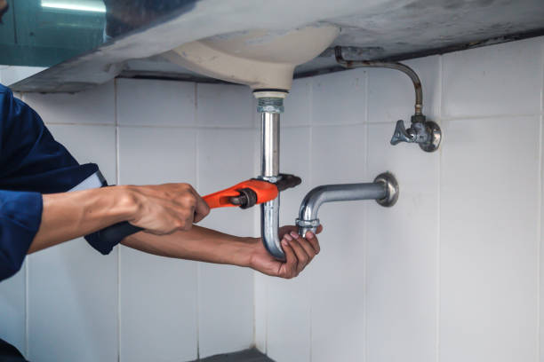 Best Shower Repair Services  in Acres Green, CO